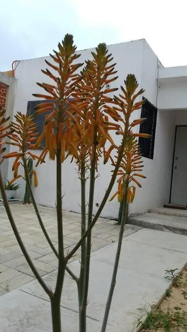 La Casita Amarilla Apartment Playa del Carmen